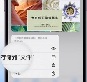 伊犁apple维修中心分享iPhone文件应用中存储和找到下载文件