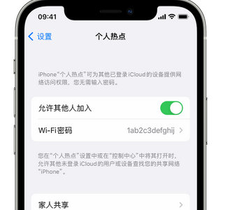 伊犁apple服务站点分享iPhone上个人热点丢失了怎么办 