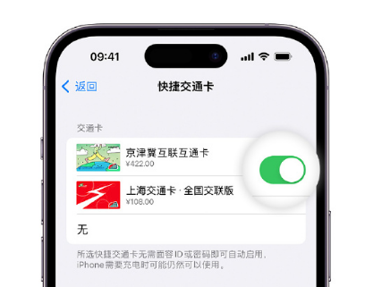 伊犁apple维修点分享iPhone上更换Apple Pay快捷交通卡手绘卡面 