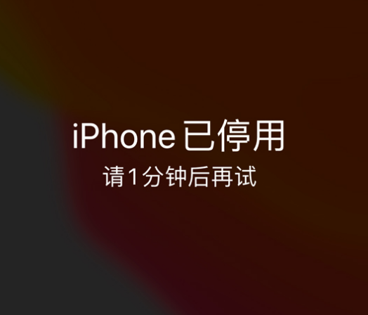 伊犁苹果手机维修分享:iPhone 显示“不可用”或“已停用”怎么办？还能保留数据吗？ 