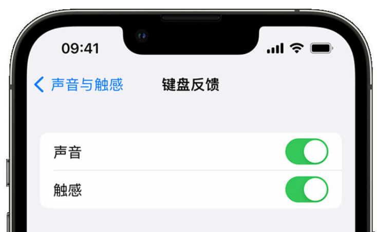 伊犁苹果手机维修分享iPhone 14触感键盘使用方法 