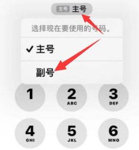 伊犁苹果14维修店分享iPhone 14 Pro Max使用副卡打电话的方法 