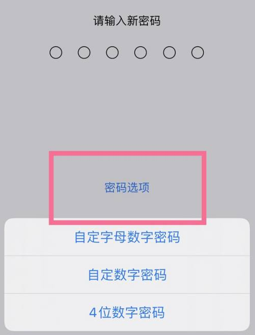 伊犁苹果14维修分享iPhone 14plus设置密码的方法 