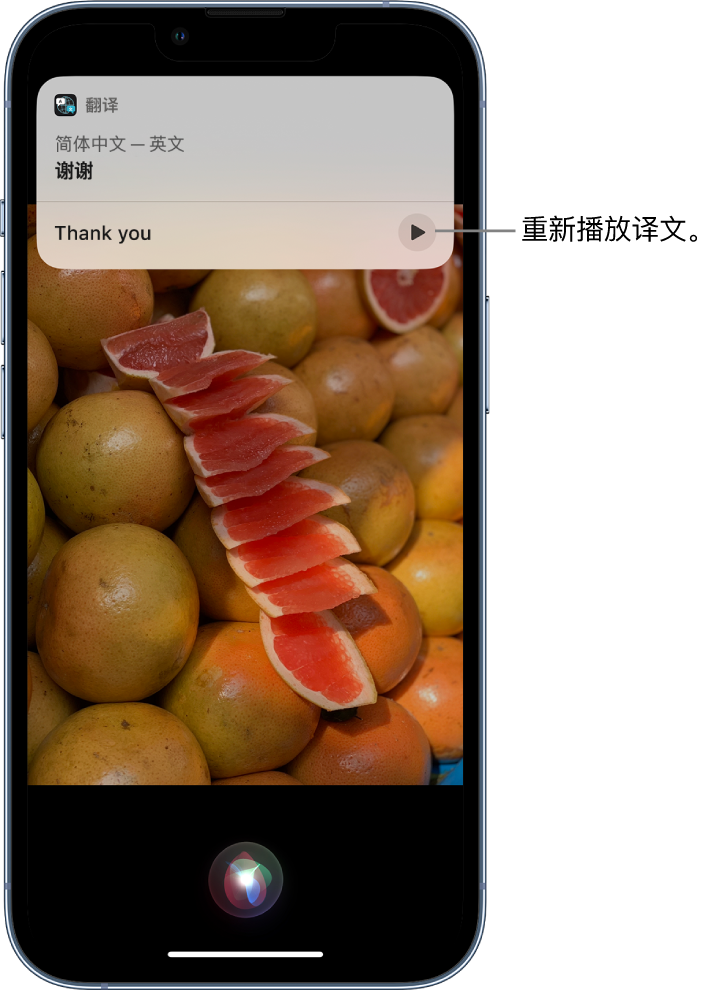 伊犁苹果14维修分享 iPhone 14 机型中使用 Siri：了解 Siri 能帮你做什么 