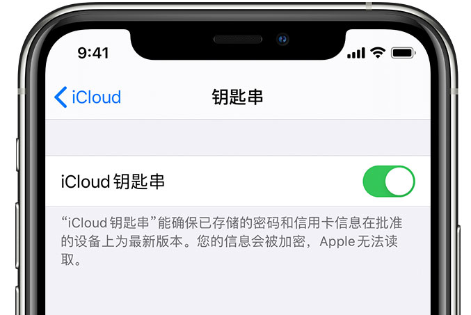 伊犁苹果手机维修分享在 iPhone 上开启 iCloud 钥匙串之后会储存哪些信息 