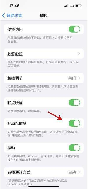 伊犁苹果手机维修分享iPhone手机如何设置摇一摇删除文字 