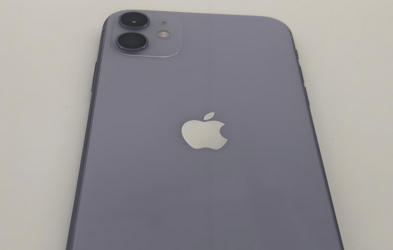 伊犁苹果11系统维修分享iPhone11手机系统崩溃无法开机如何解决 
