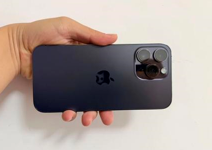 伊犁苹果维修点分享iPhone 14 Pro Max黑屏少见故障盘点 